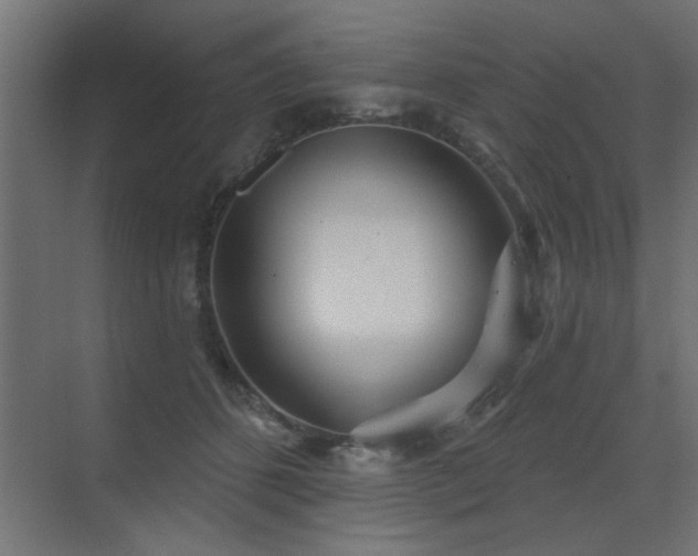 X0000075350512200609081153