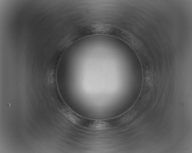 X0000075350514200609081153
