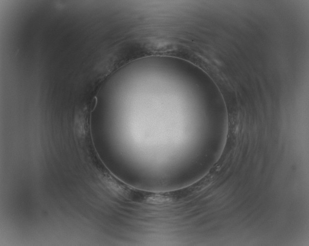X0000075350515200609081153