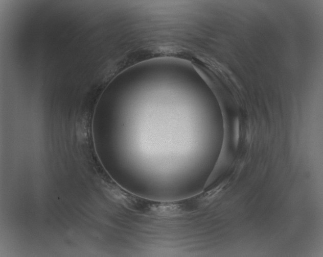 X0000075350517200609081153