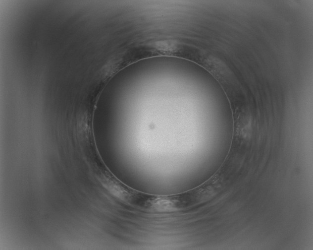X0000075350518200609081153