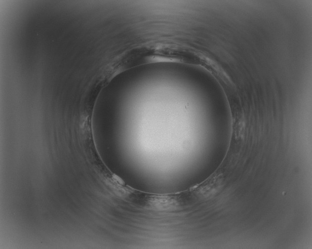 X0000075350521200609081153