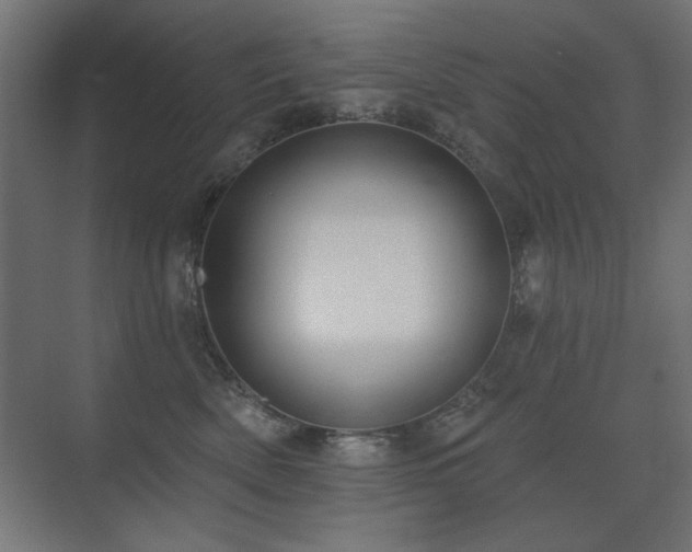 X0000075350522200609081153