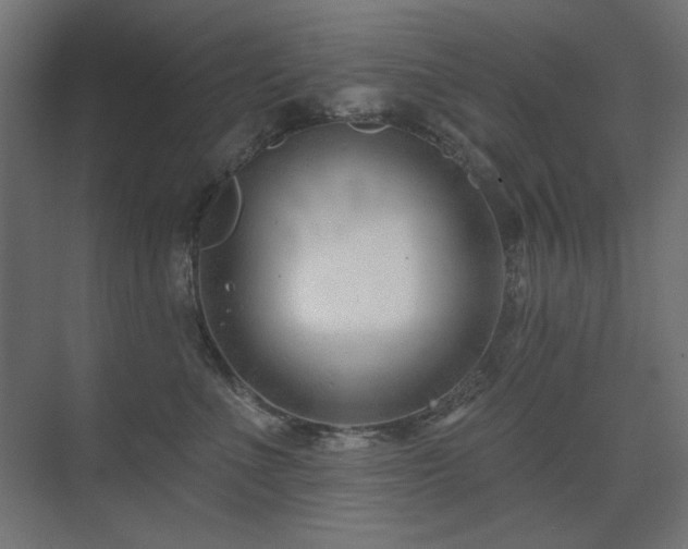 X0000075350523200609081153
