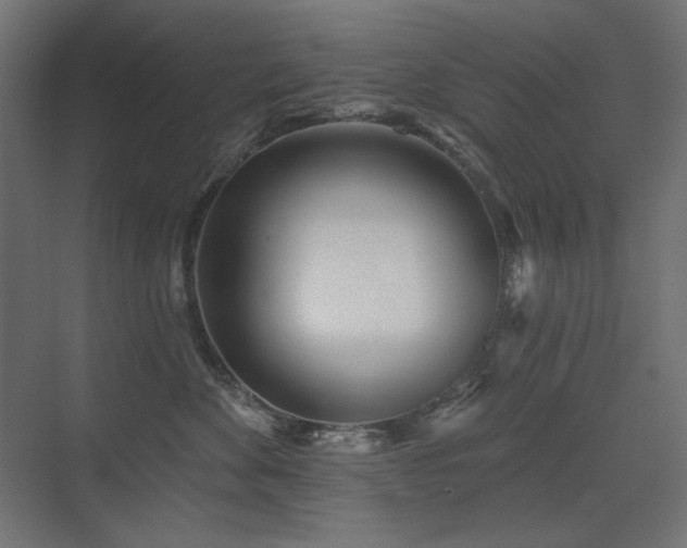 X0000075350524200609081153