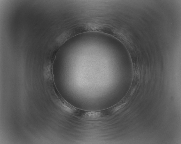 X0000075350526200609081153