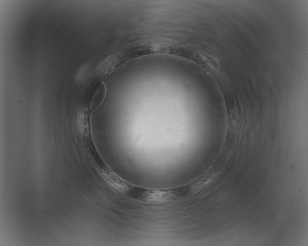 X0000075350527200609081153