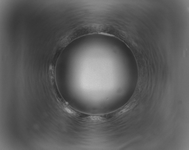 X0000075350528200609081152