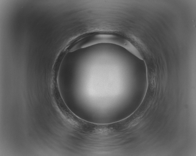 X0000075350540200609081152