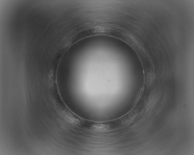 X0000075350557200609081152