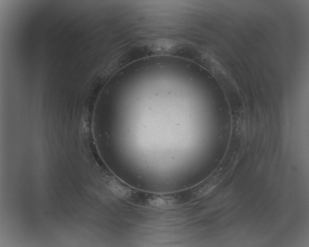 X0000075350561200609081152