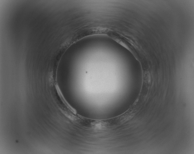 X0000075350564200609081152