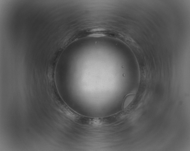 X0000075350565200609081152