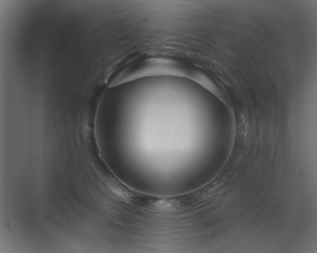 X0000075350566200609081152