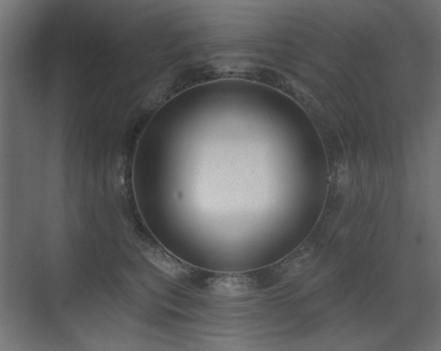 X0000075350567200609081152