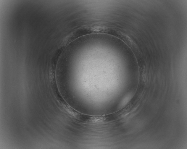X0000075350569200609081152