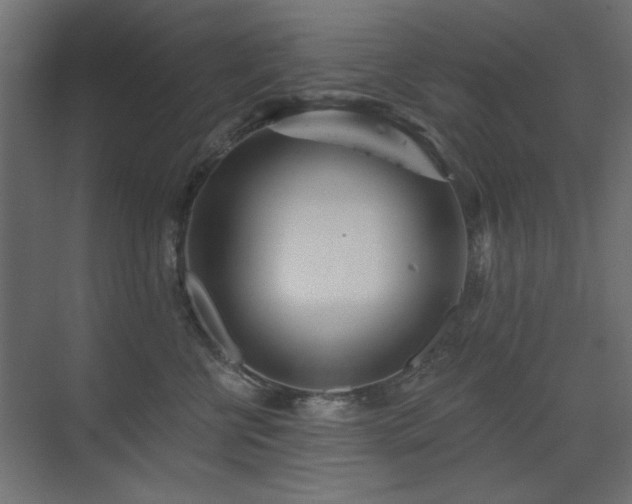 X0000075350570200609081152