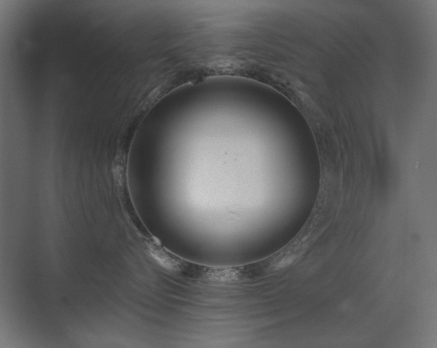 X0000075350576200609081152