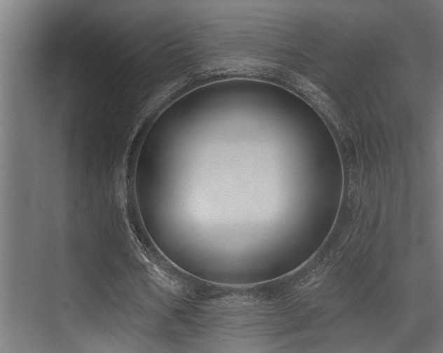X0000075350578200609081152