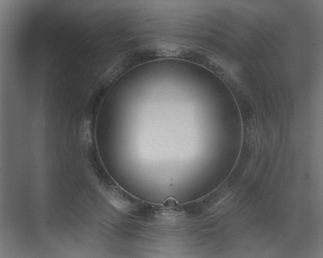 X0000075350598200609081151