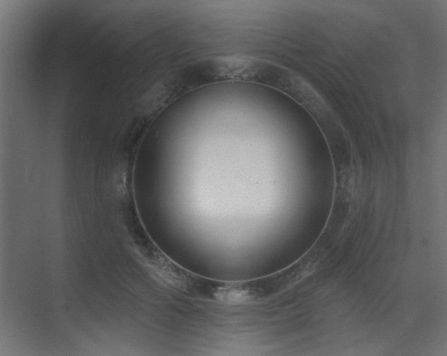 X0000075350602200609081151