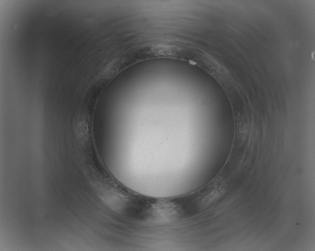 X0000075350603200609081151