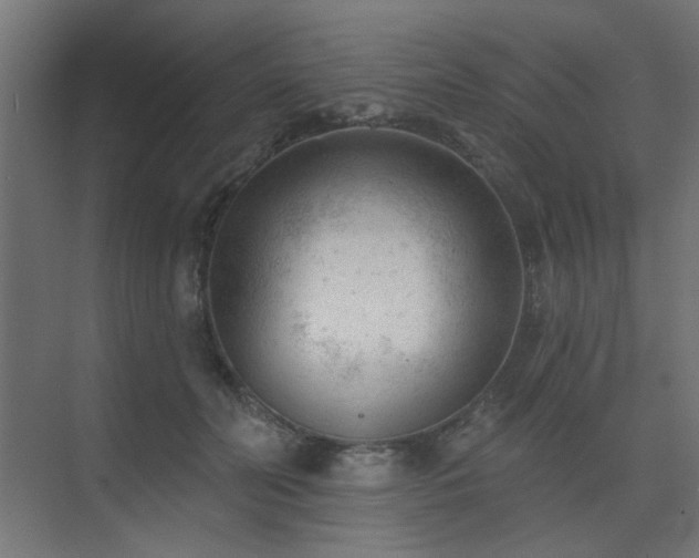 X0000075350606200609081151