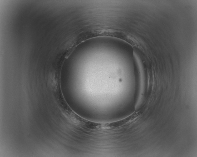 X0000075350607200609081151