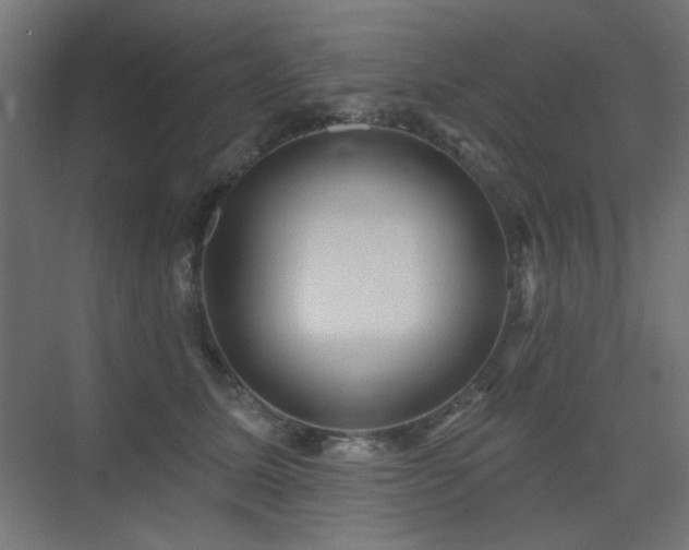 X0000075350611200609081151