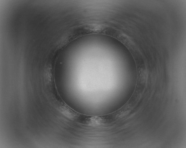 X0000075350612200609081151