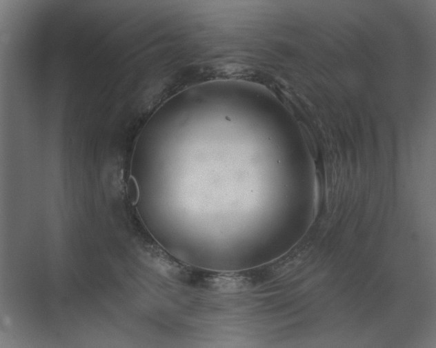 X0000075350615200609081151