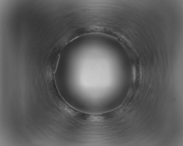 X0000075350617200609081151