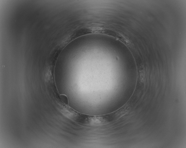 X0000075350618200609081151