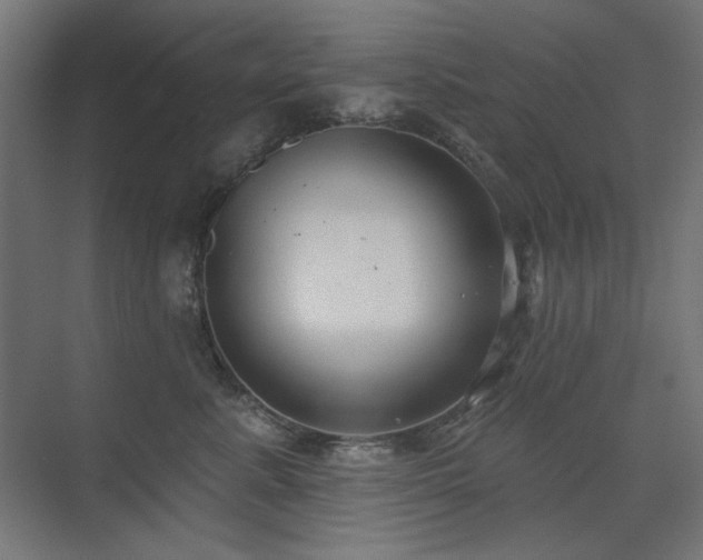 X0000075350619200609081151