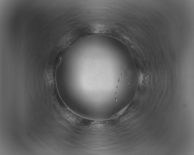 X0000075350620200609081151