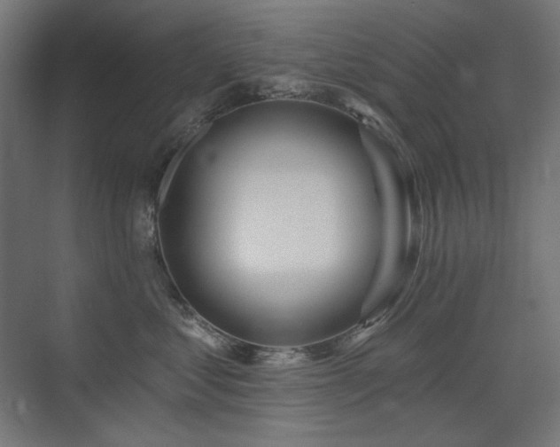 X0000075350621200609081151