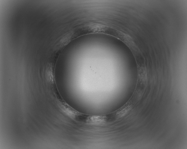 X0000075350622200609081151