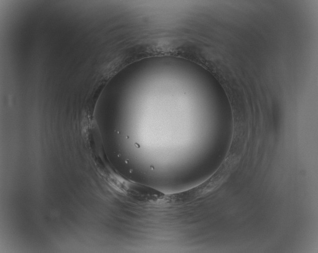 X0000075350624200609081151