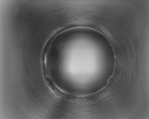 X0000075350626200609081150
