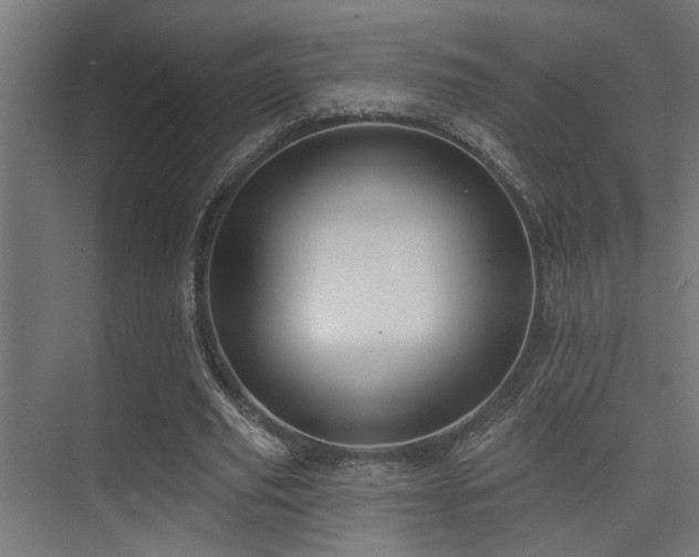 X0000075350629200609081150