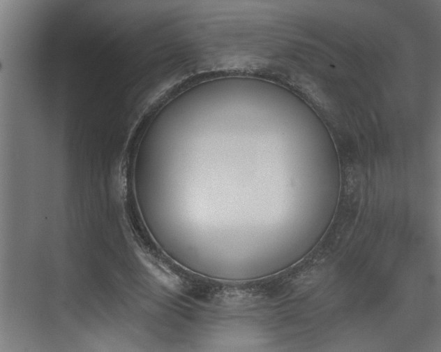 X0000075350632200609081150