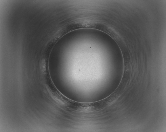 X0000075350646200609081150