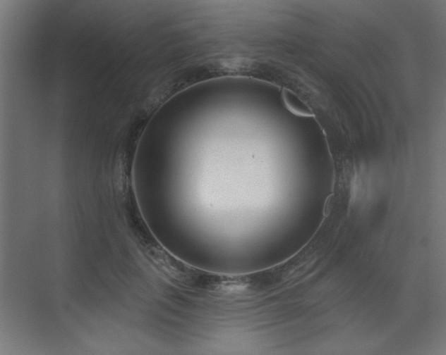 X0000075350651200609081151