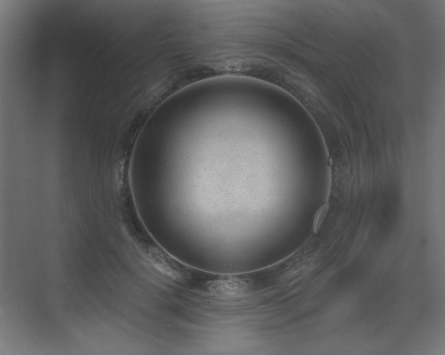 X0000075350652200609081151