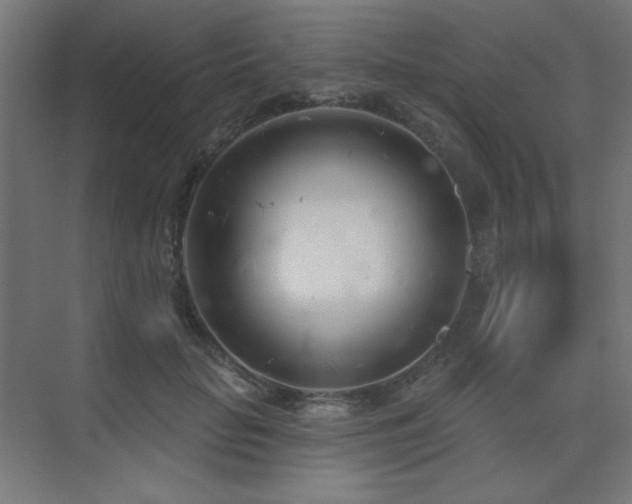 X0000075350653200609081151