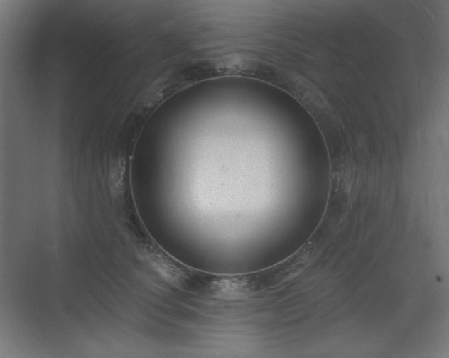 X0000075350660200609081151