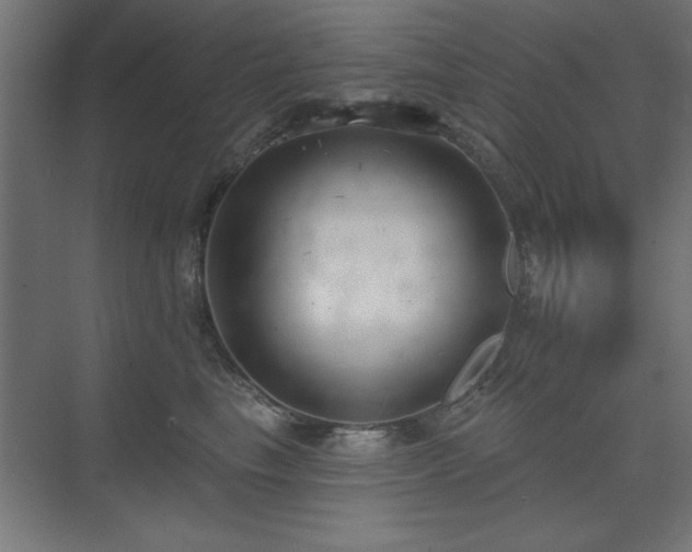 X0000075350665200609081151