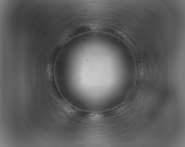 X0000075350667200609081151