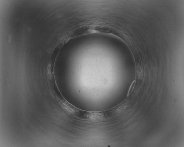 X0000075350670200609081151