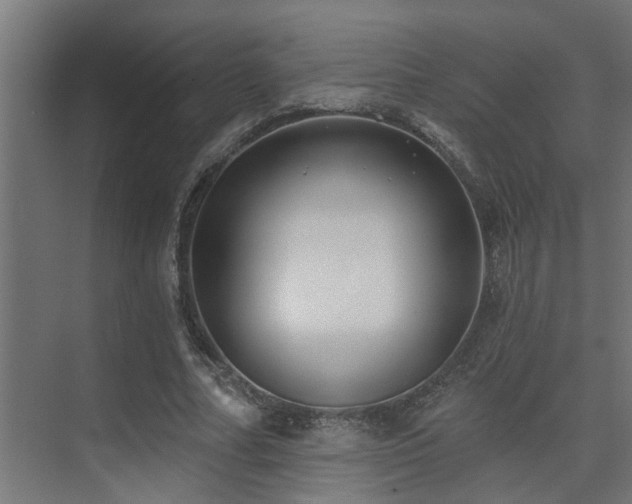 X0000075350682200609081150
